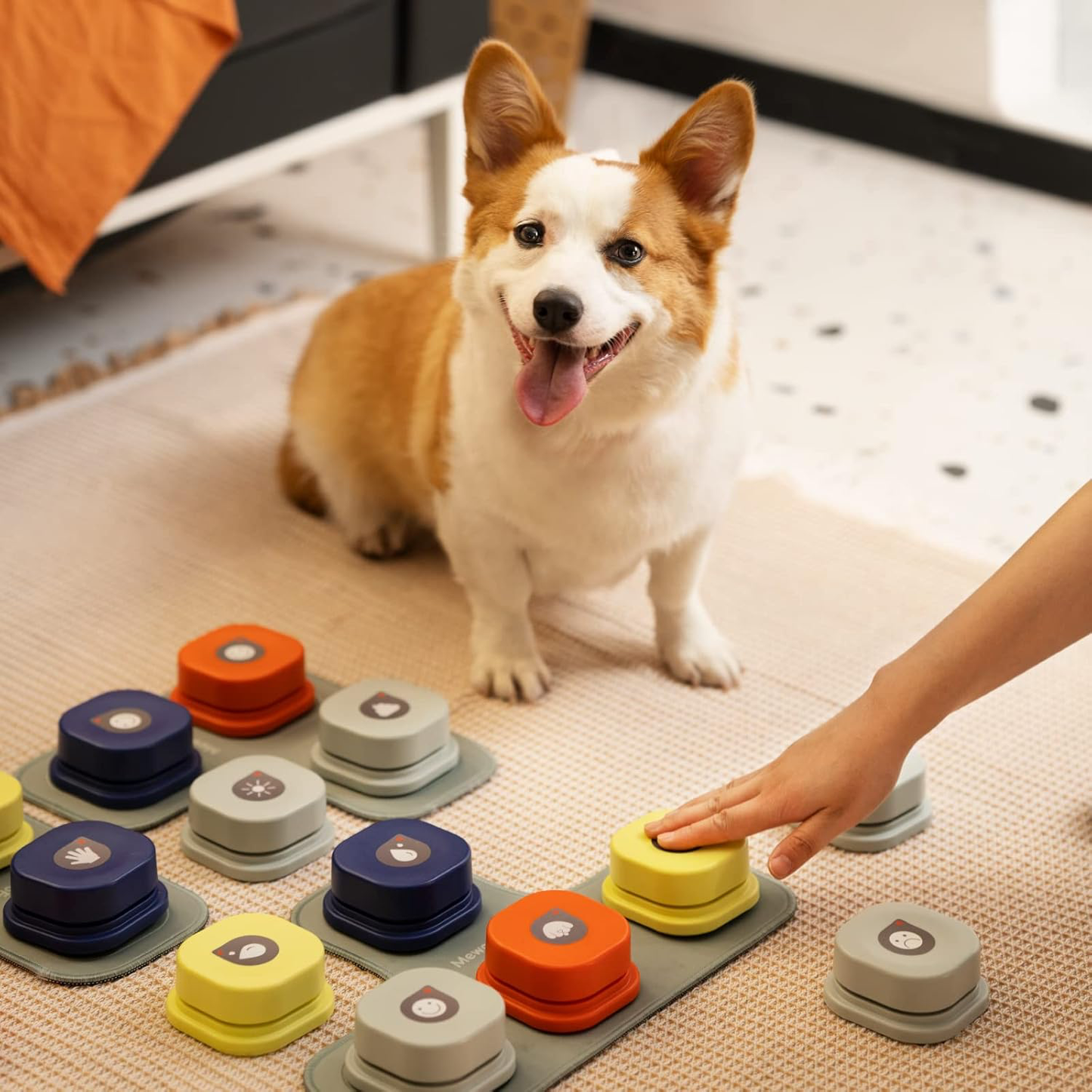 PawSpeak™ – Interaction Pet Buttons