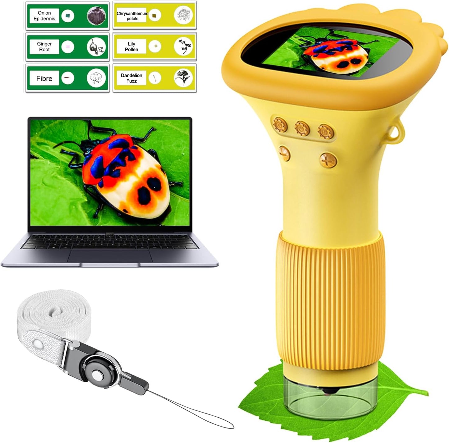 KidScope™ – Tiny World Exploration