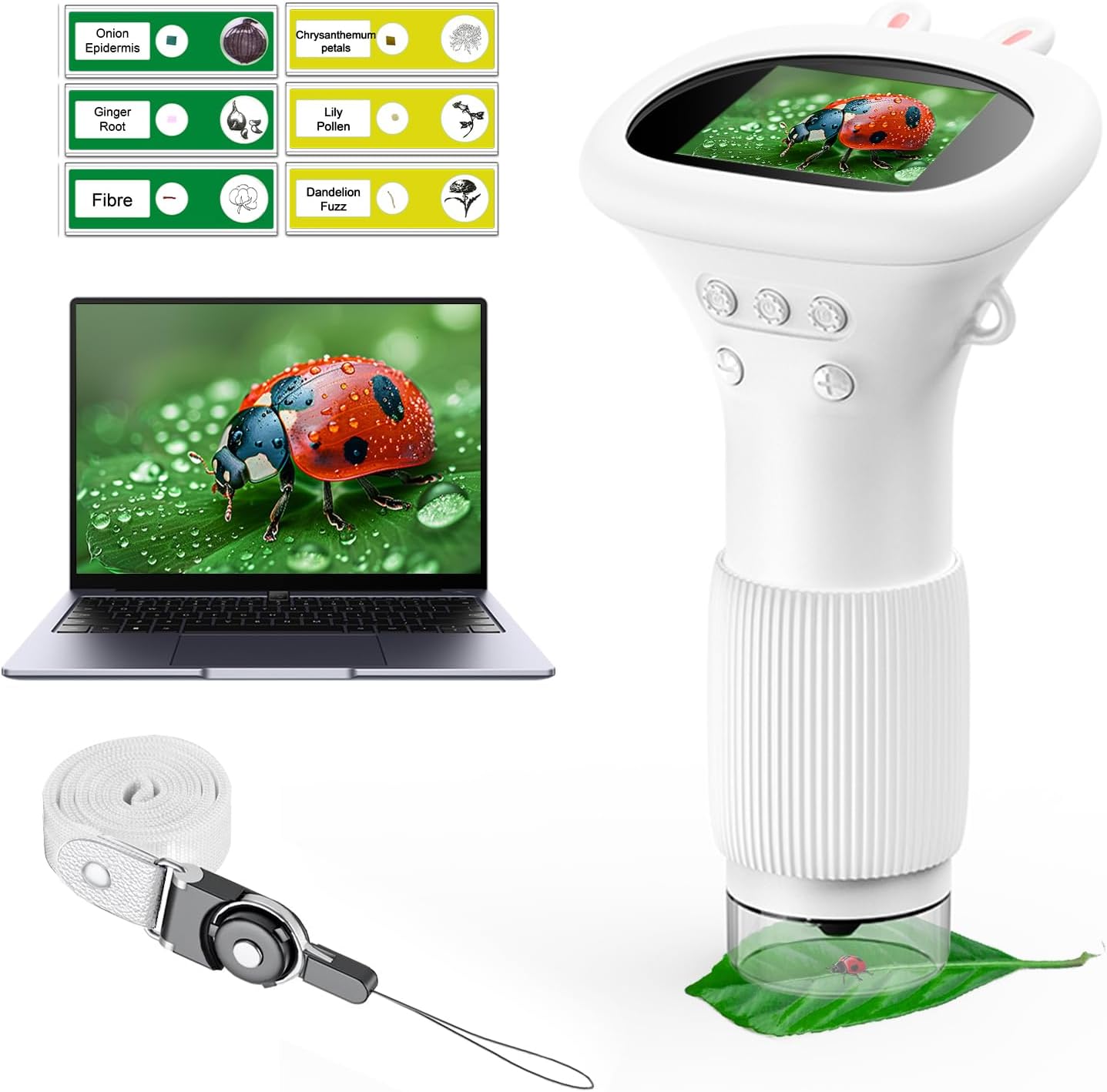 KidScope™ – Tiny World Exploration